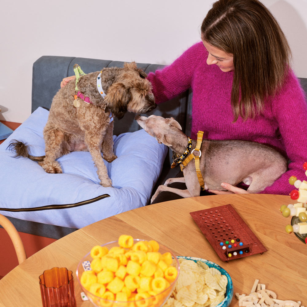 Smooth Spike Leather Dog Collar - Jelly Beans