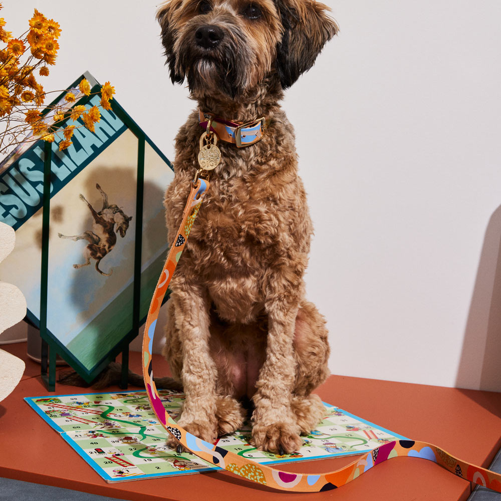 Snakes and Ladders Leather Dog Leash