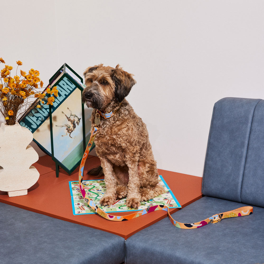 Snakes and Ladders Leather Dog Leash