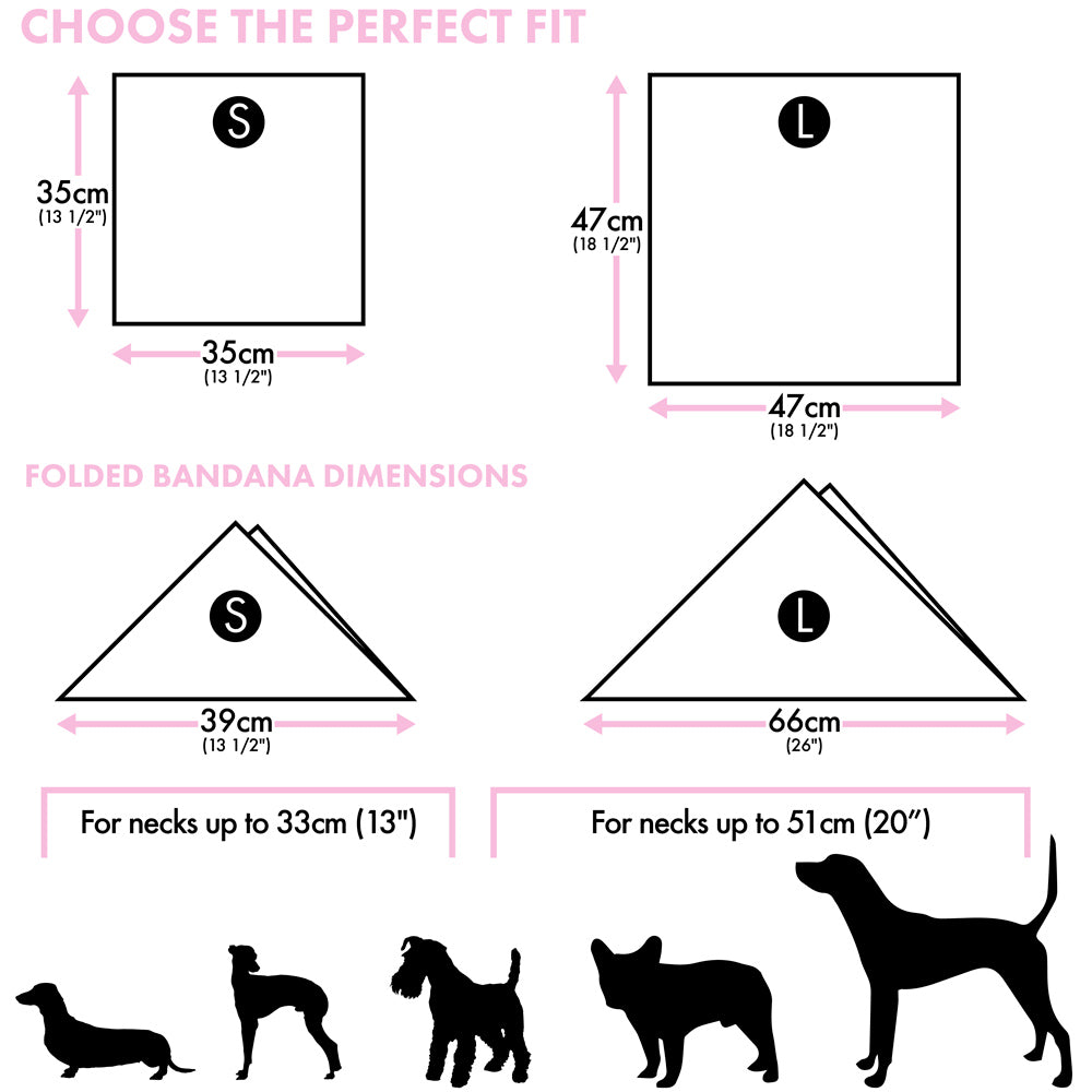 Who's Your Master Bandana