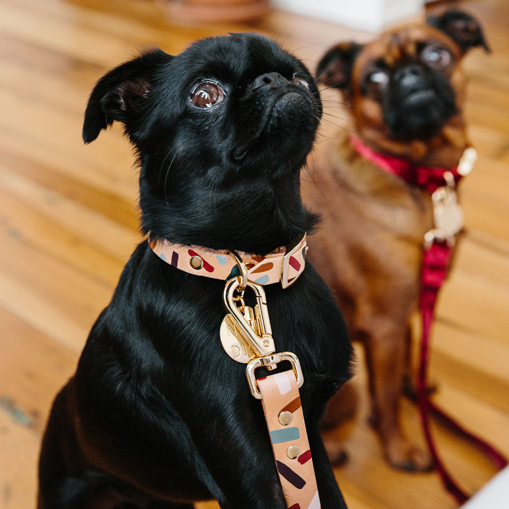 Tiggy Leather Dog Collar - Forest