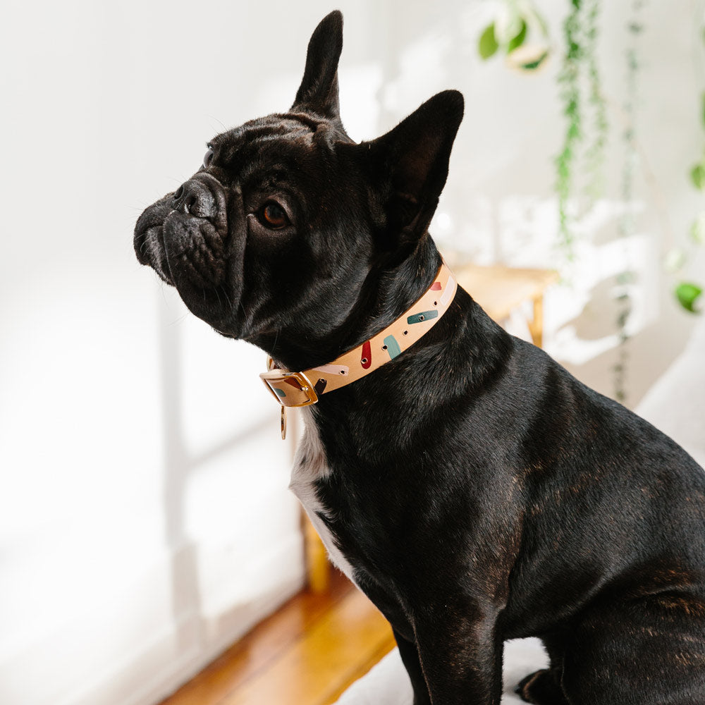 Tiggy Leather Dog Collar - Forest