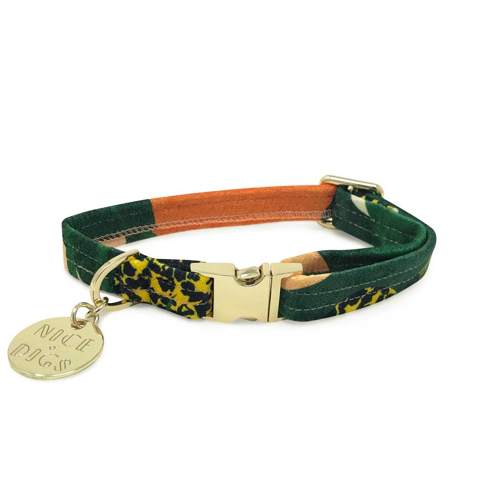 Boulder Canyon Printed Dog Collar - Moss