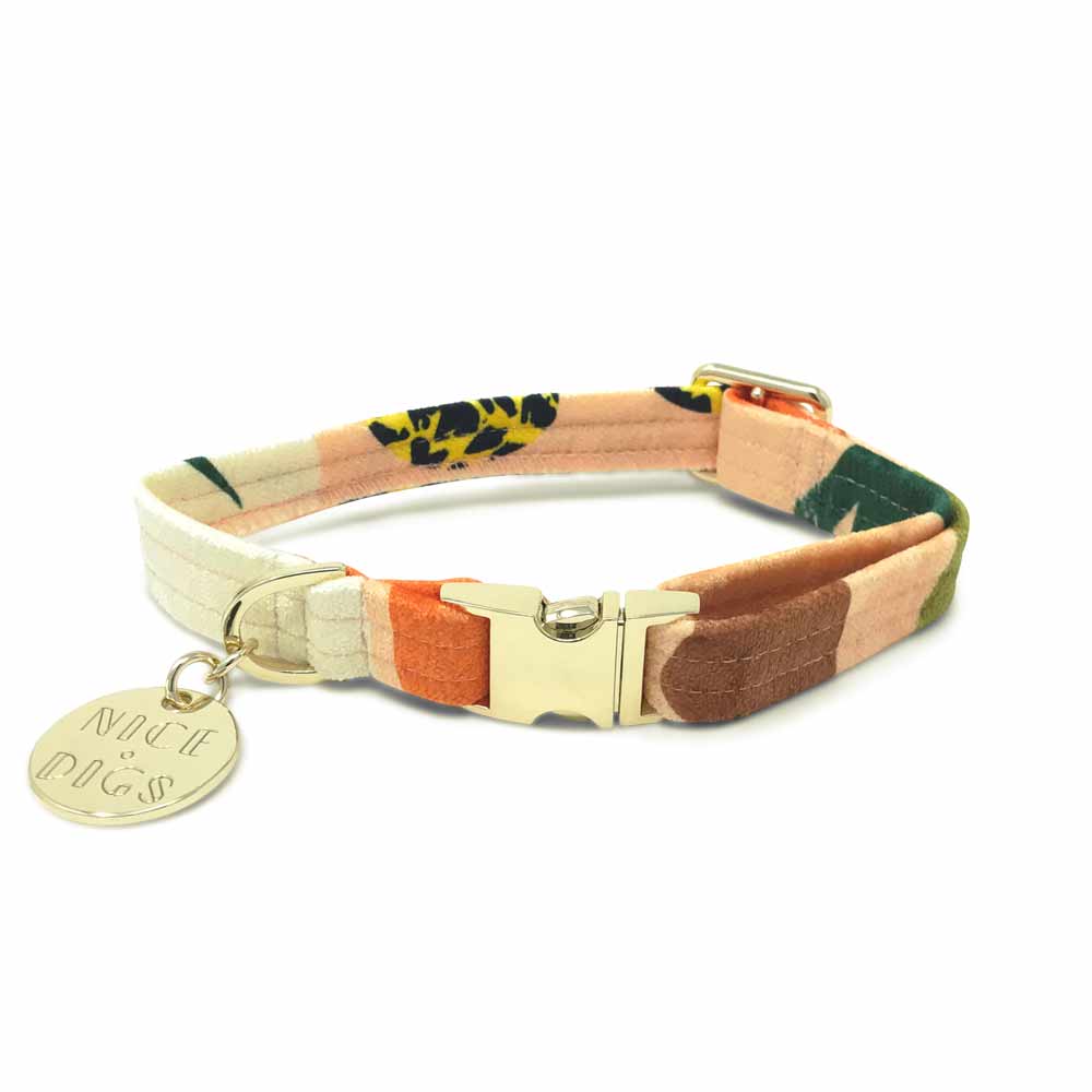 Boulder Canyon Printed Dog Collar - Peach