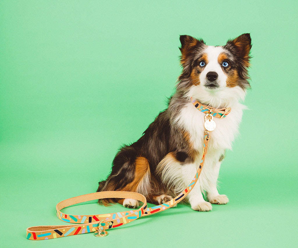 Confetti Leather Leash
