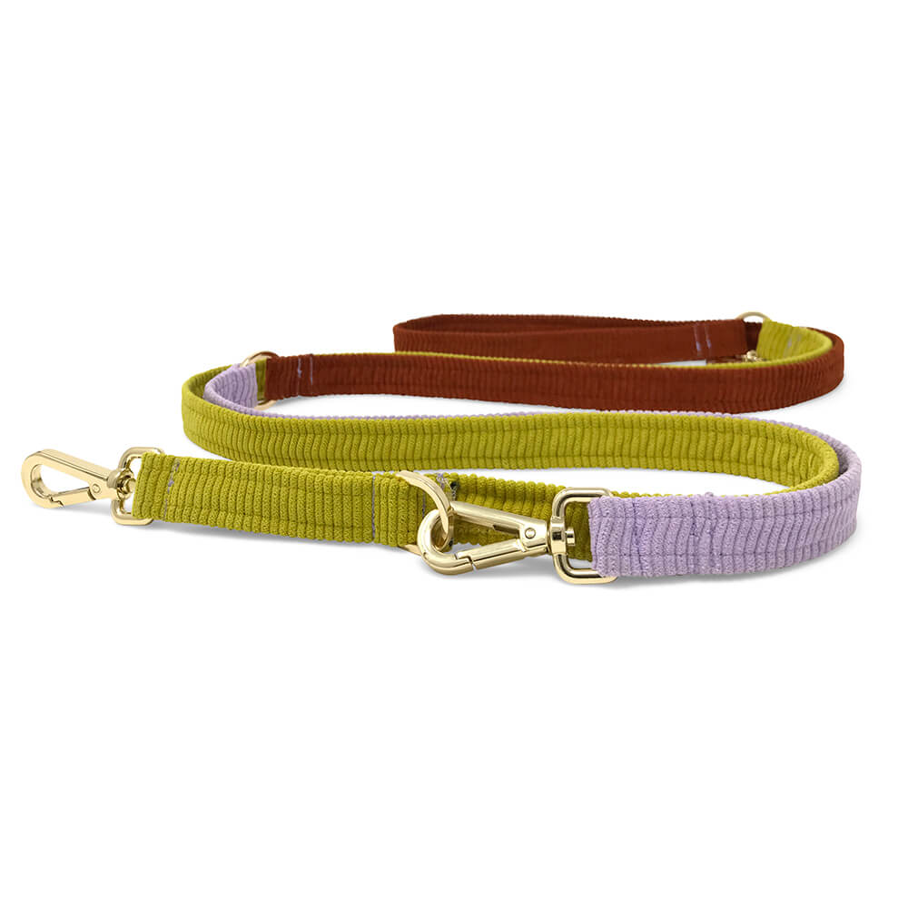 Cord Adjustable Dog Leash - Desert Bloom