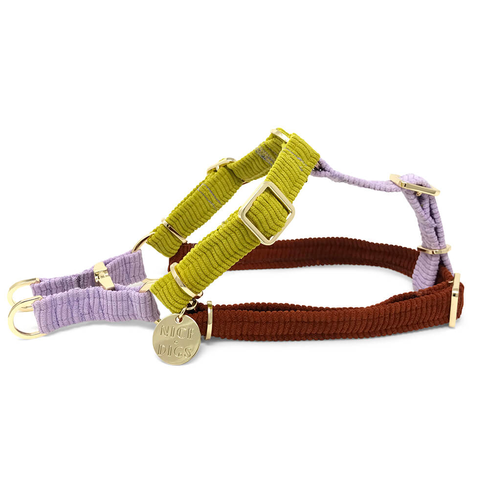 Cord Non-Pull Dog Harness - Desert Bloom
