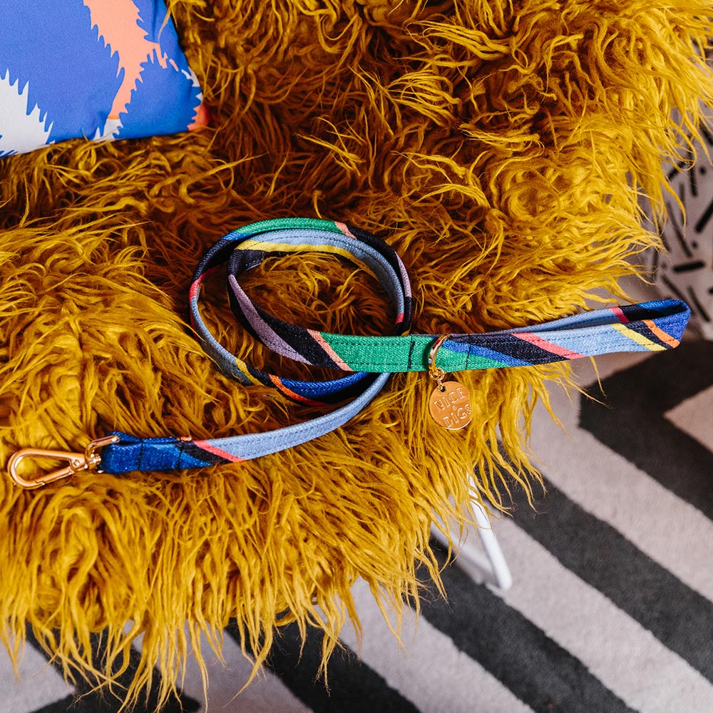Easy Tiger Printed Leash - Blue