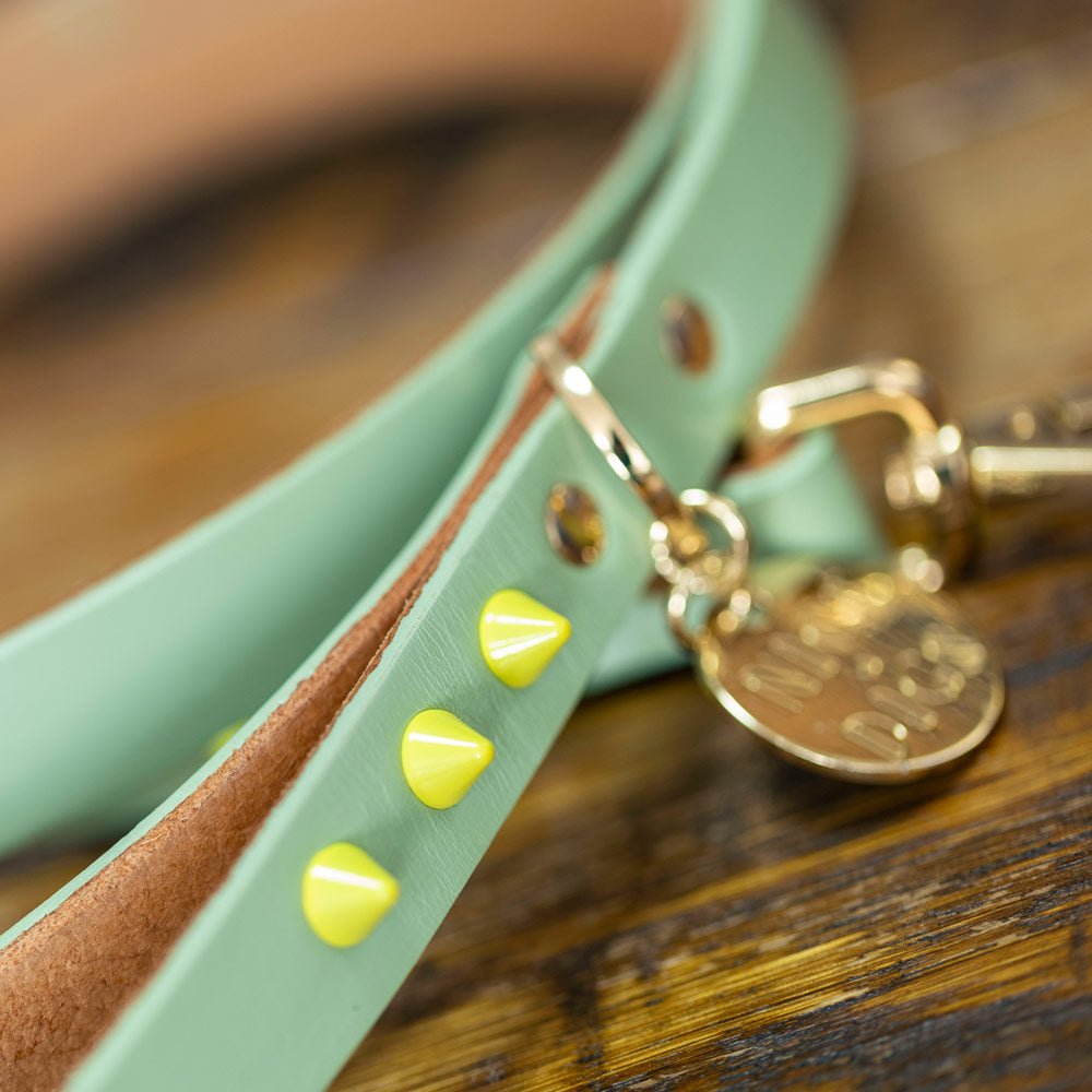 Smooth Spike Leather Dog Leash - Lime Pistachio