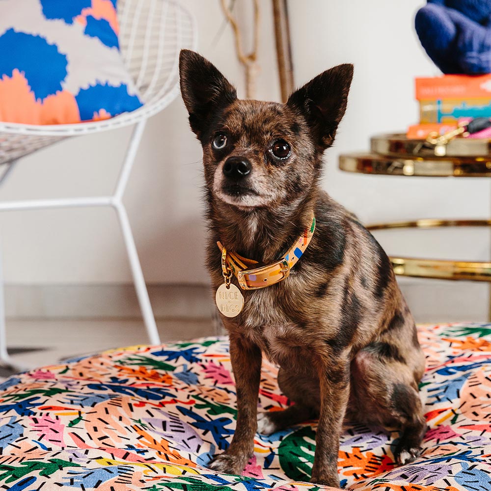 Memphis Confetti Leather Dog Collar