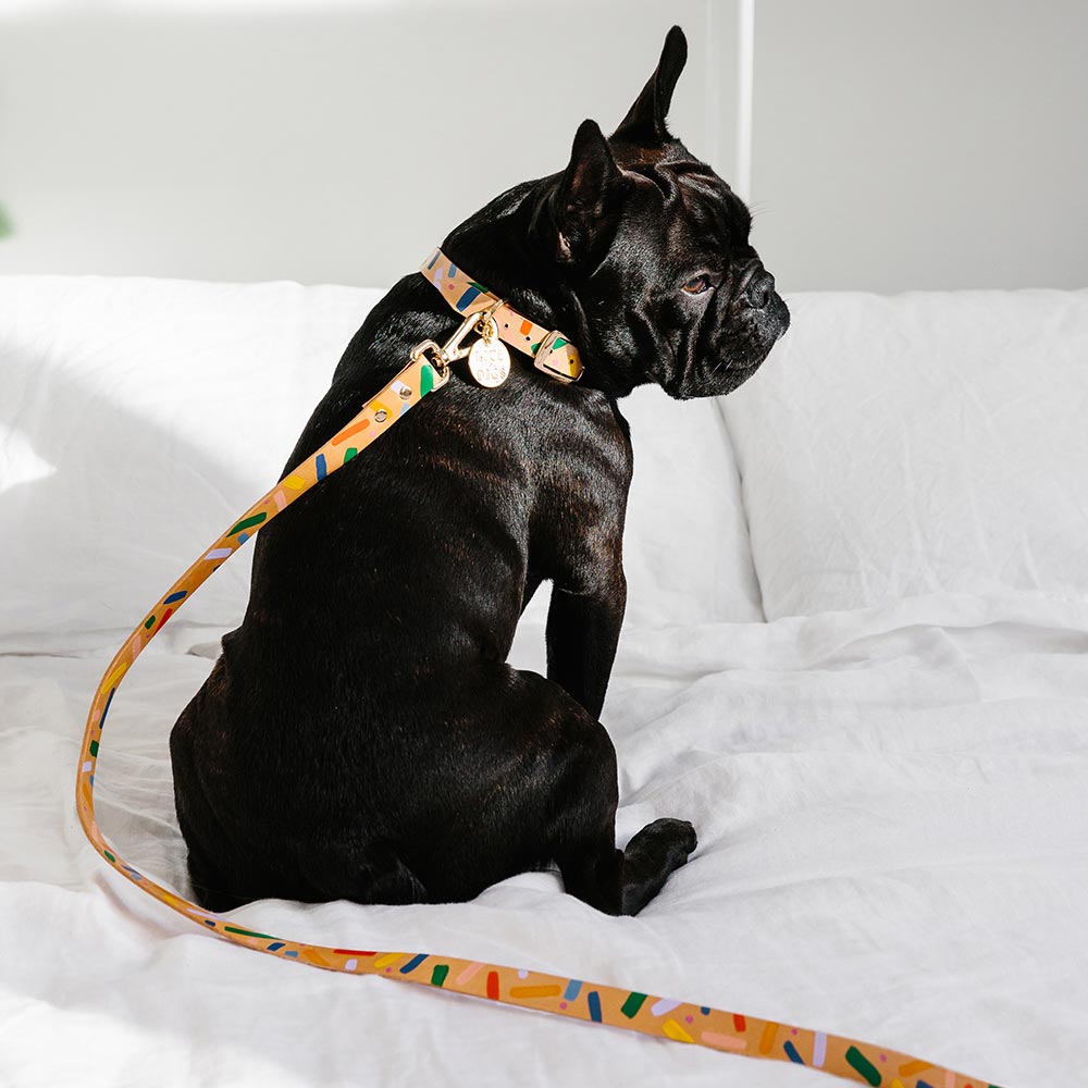 Memphis Confetti Leather Dog Collar