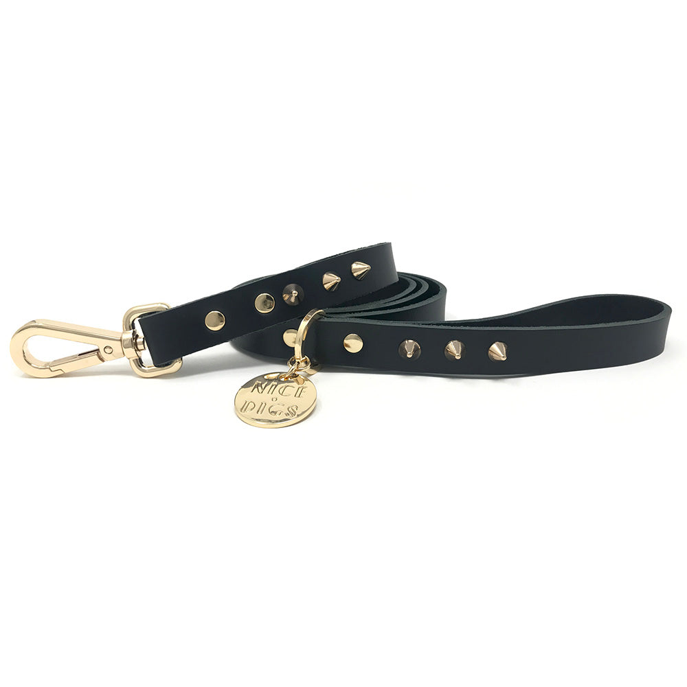 Smooth Spike Leather Dog Leash - Gold Noir