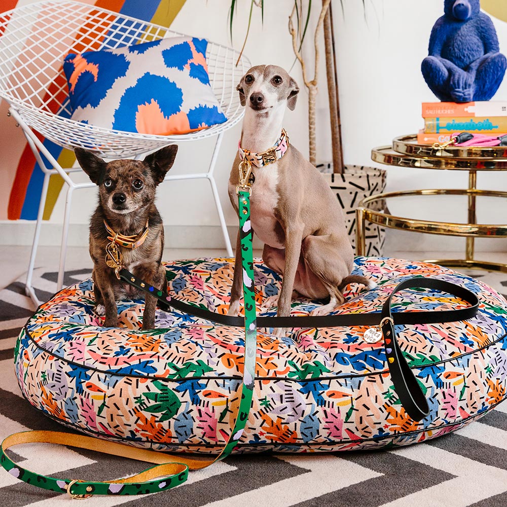 Smooth Spike Leather Dog Leash - Memphis Noir