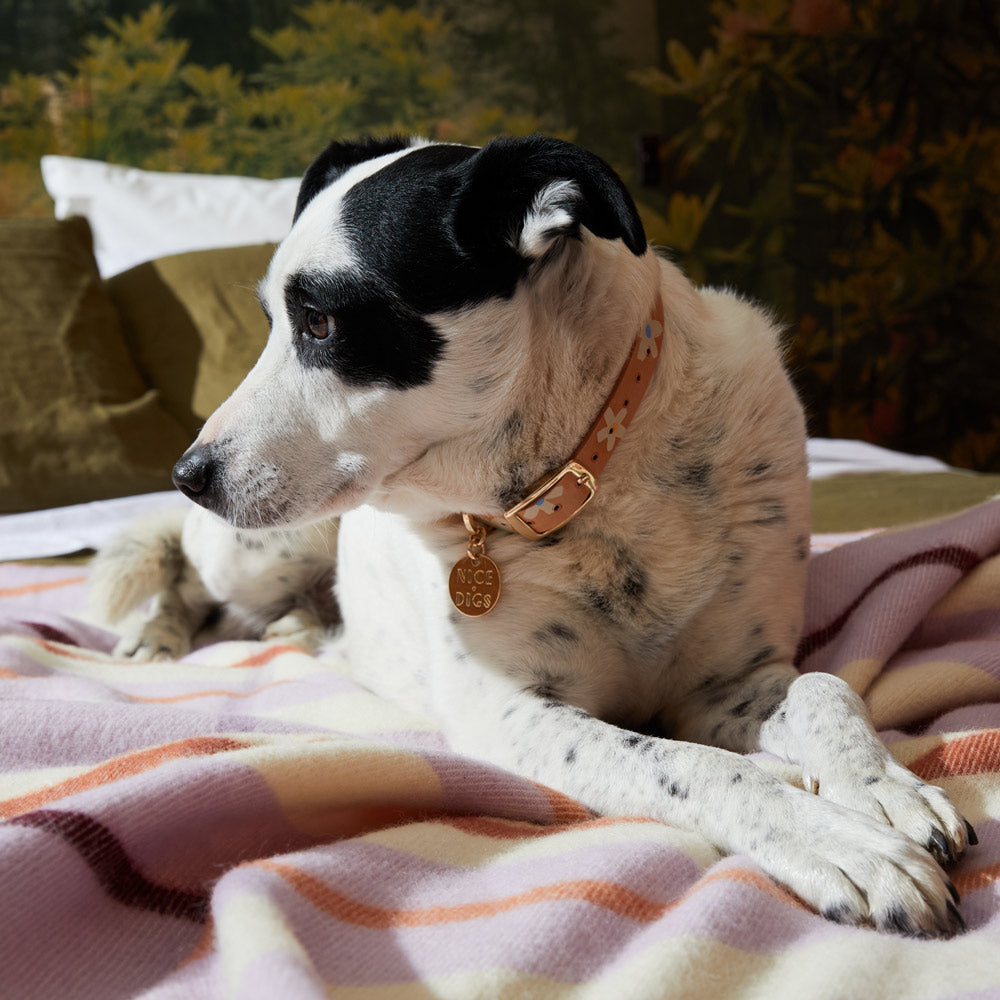 Posie Leather Dog Collar - Spring
