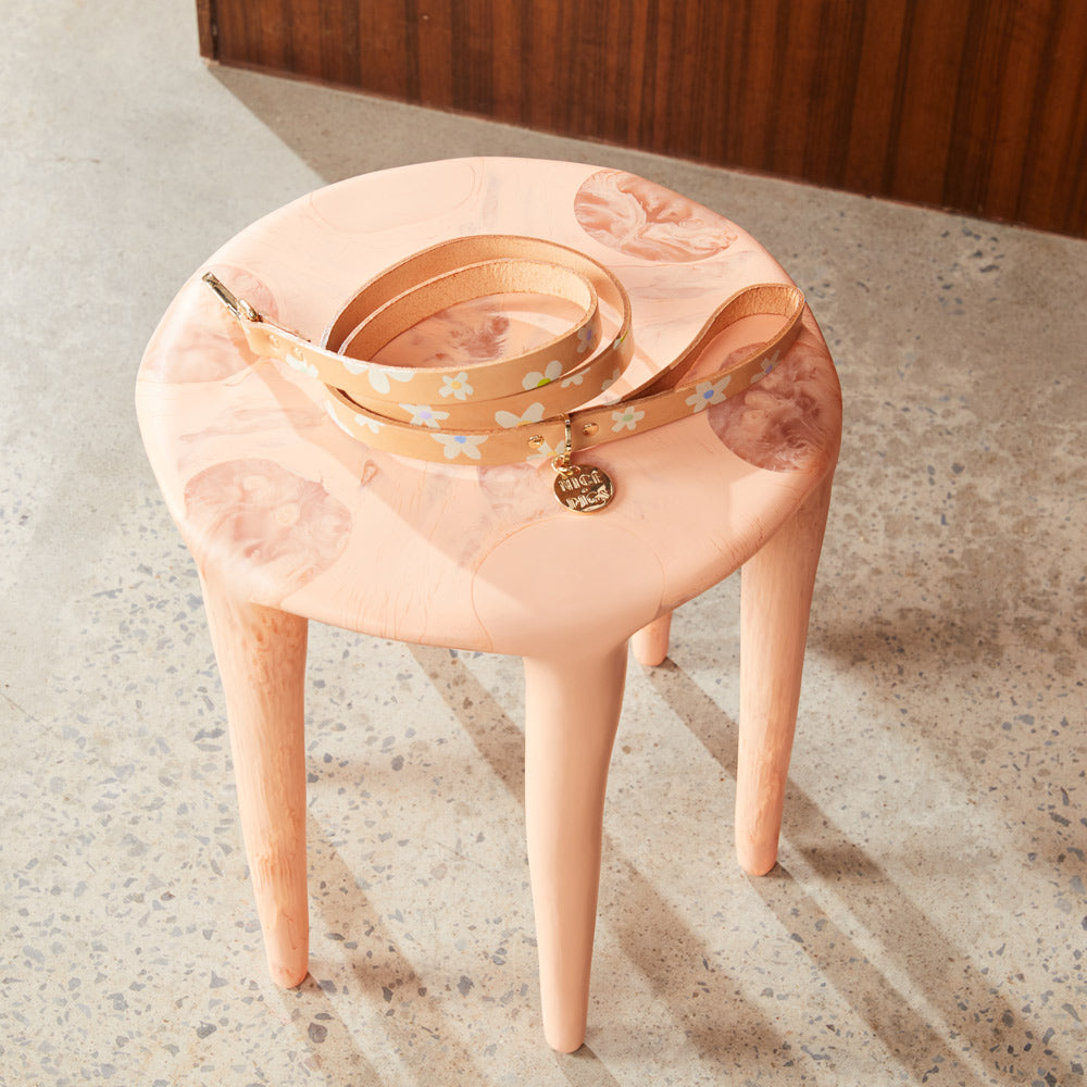 Posie Leather Leash - Spring