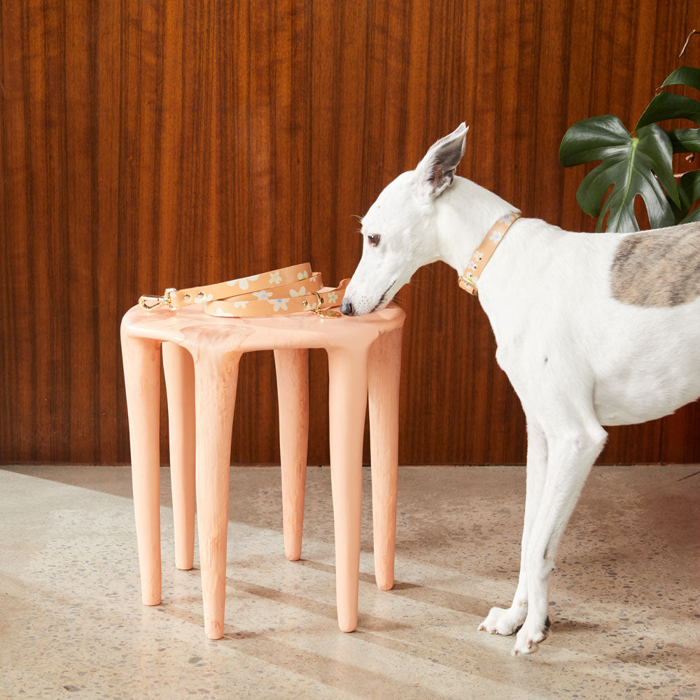 Posie Leather Leash - Spring