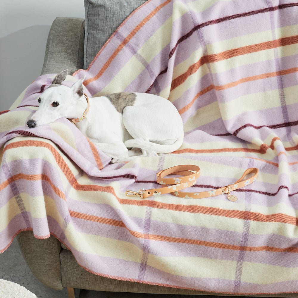 Posie Leather Leash - Spring