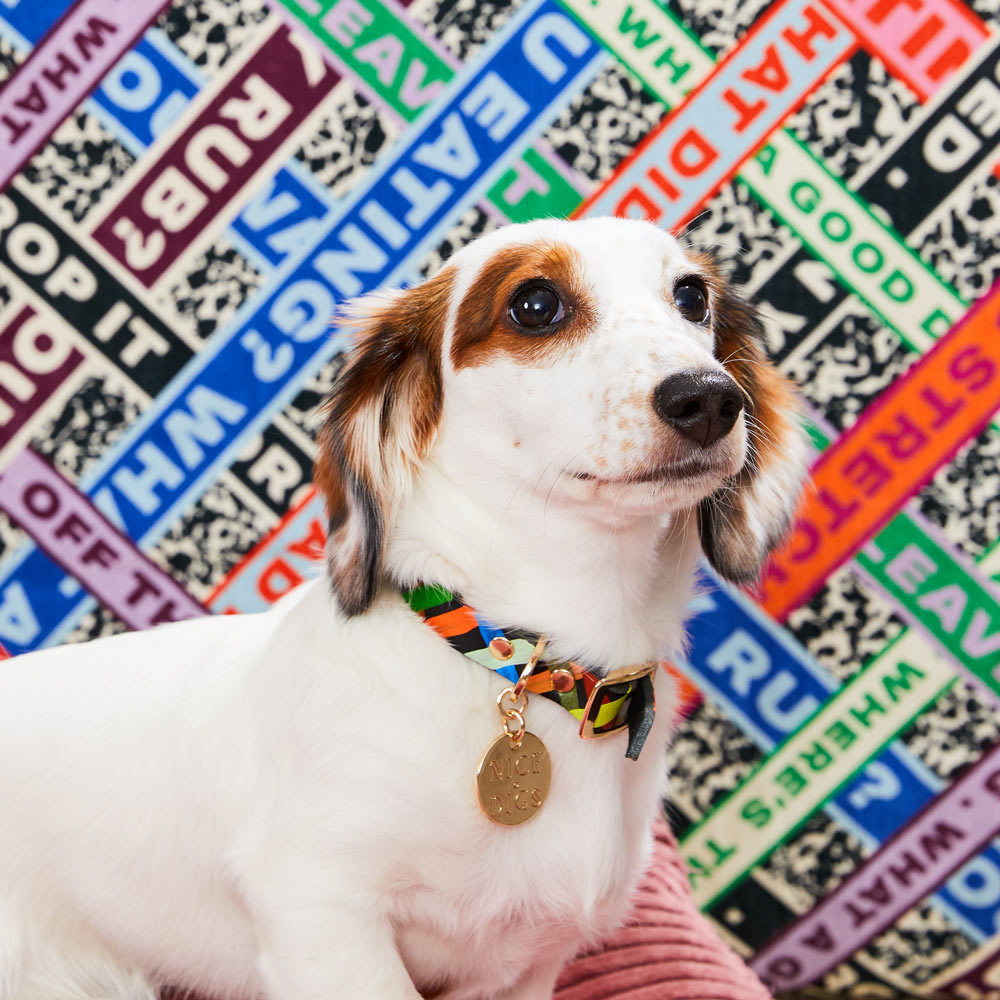 Check Me Out Leather Dog Collar