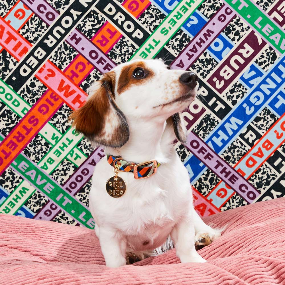 Check Me Out Leather Dog Collar