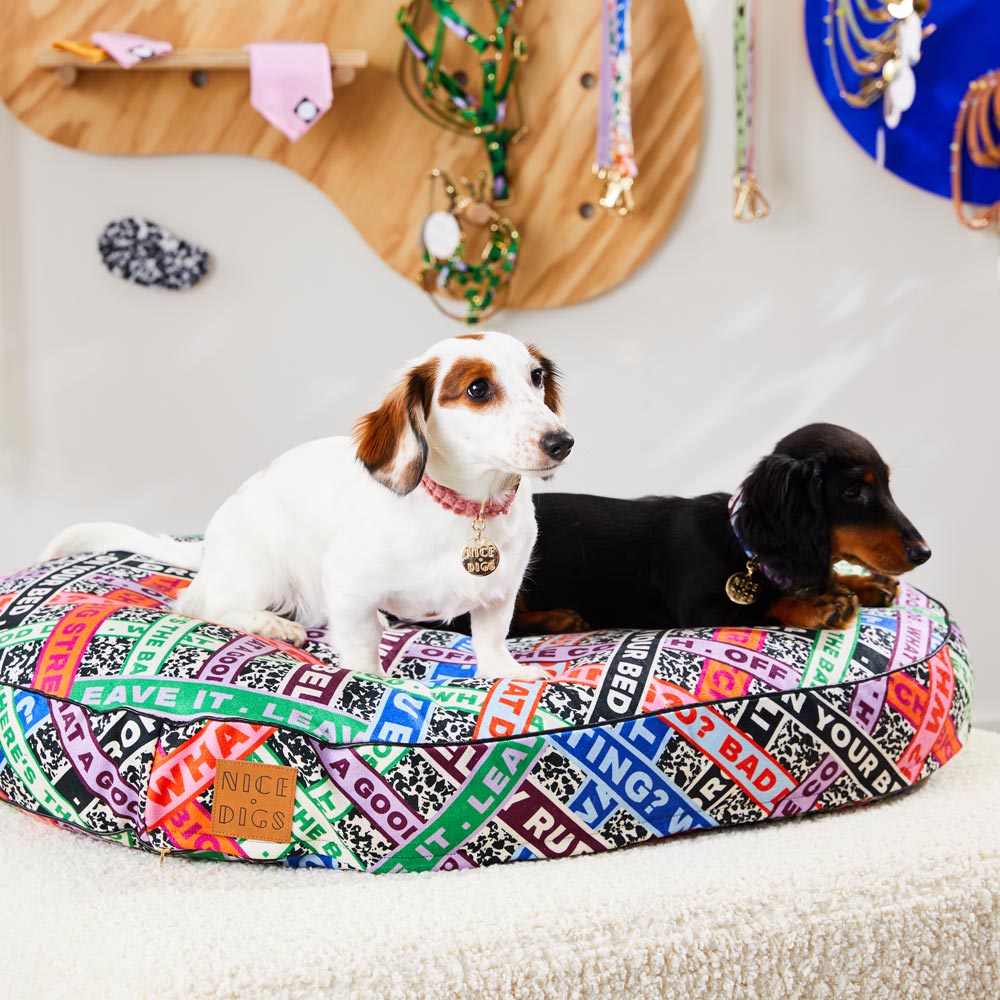 Jumbo Cord Dog Collar - Dusk