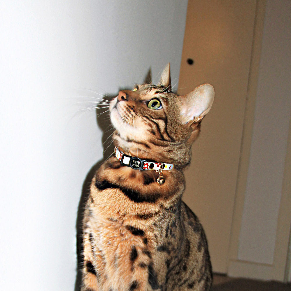 Posie Leather Cat Collar - Glacier