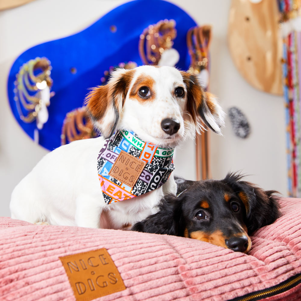 Who's Your Master Bandana