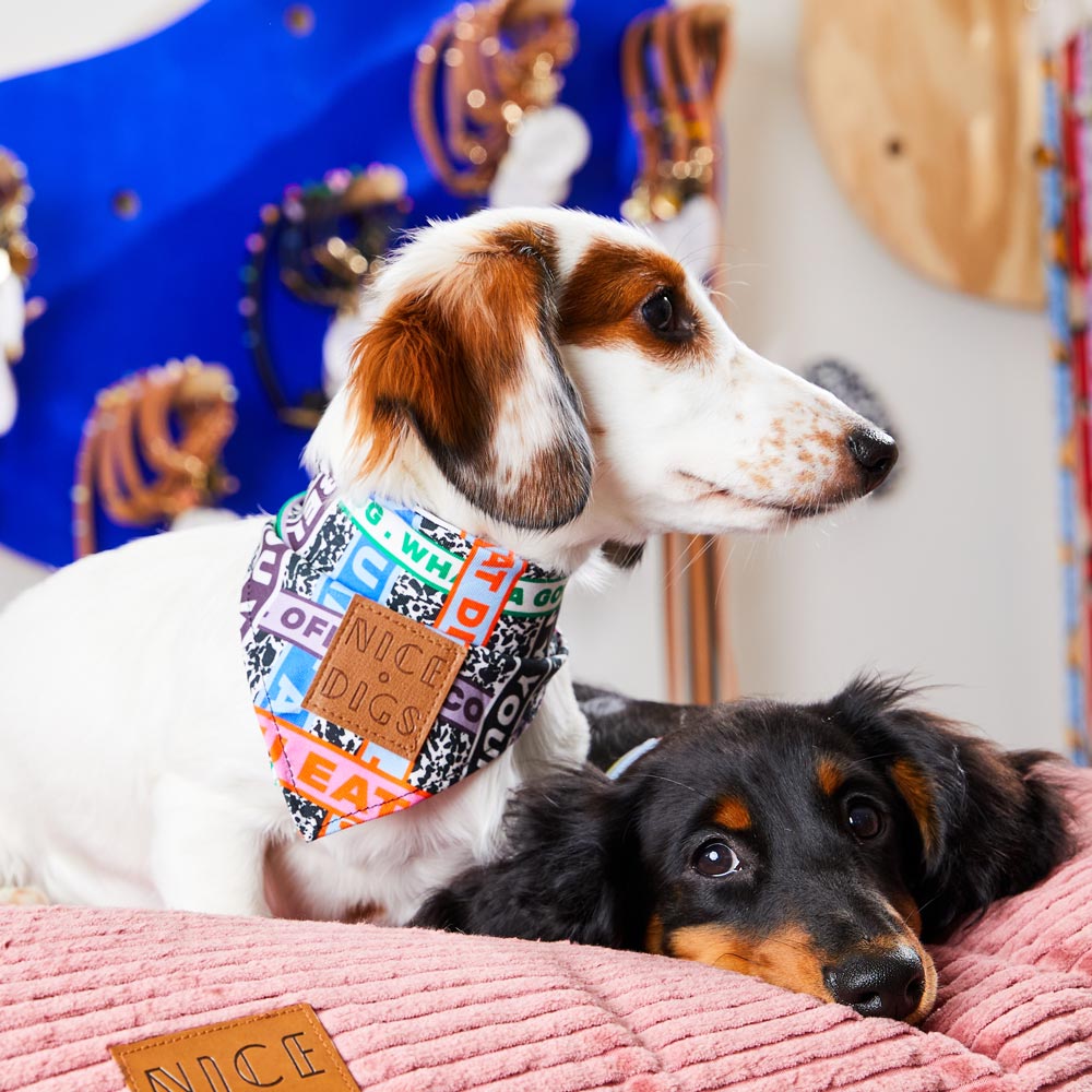 Who's Your Master Bandana