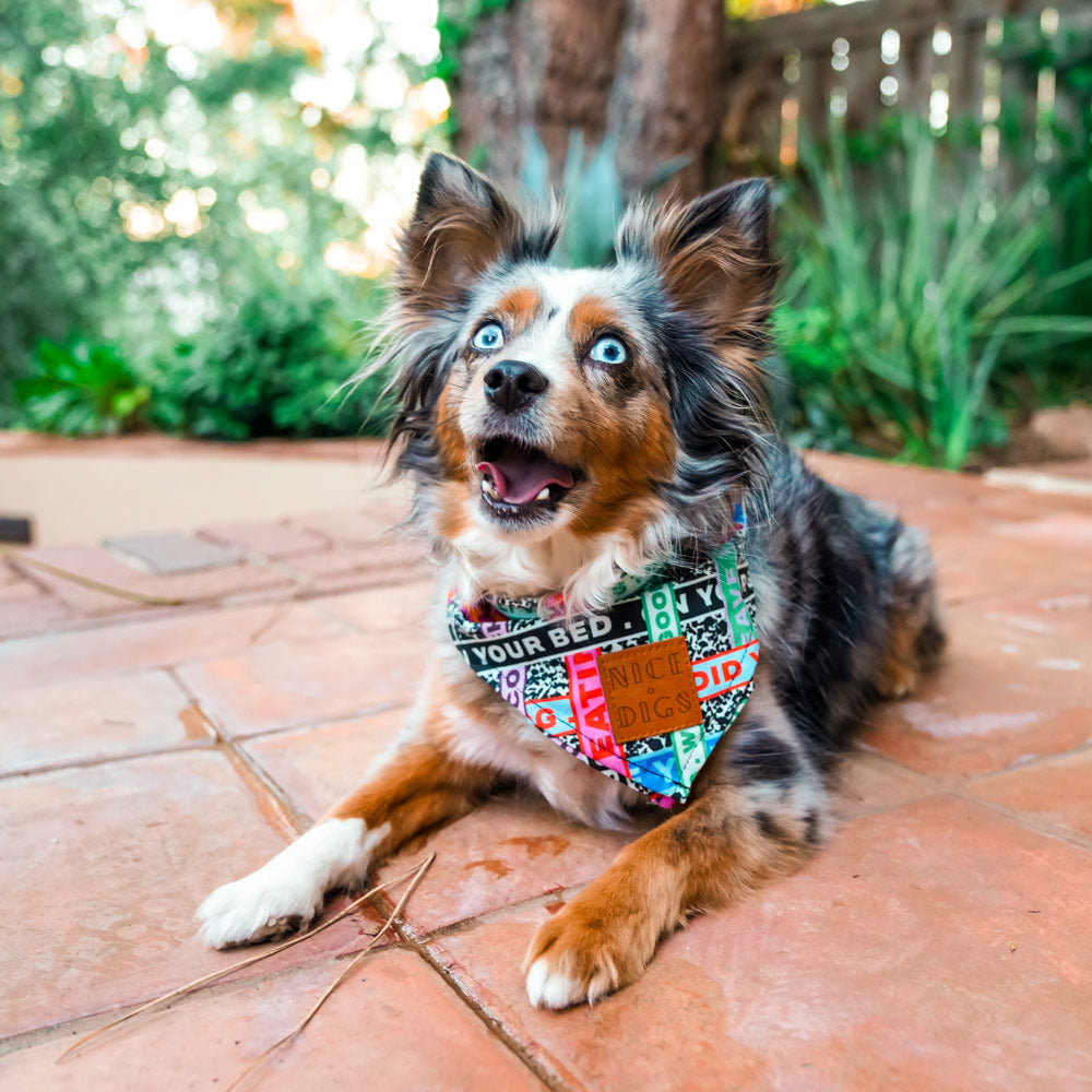 Who's Your Master Bandana