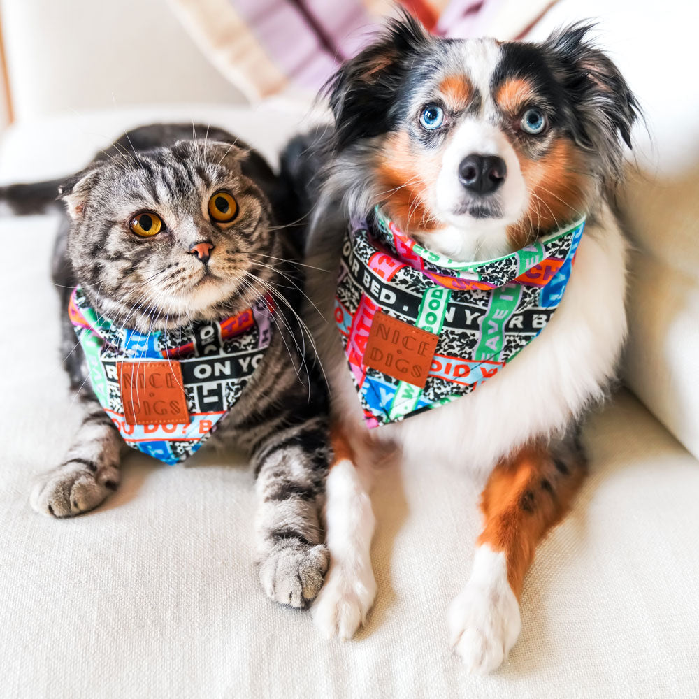 Who's Your Master Bandana