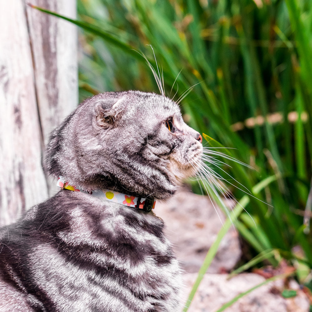 Posie Leather Cat Collar - Glacier
