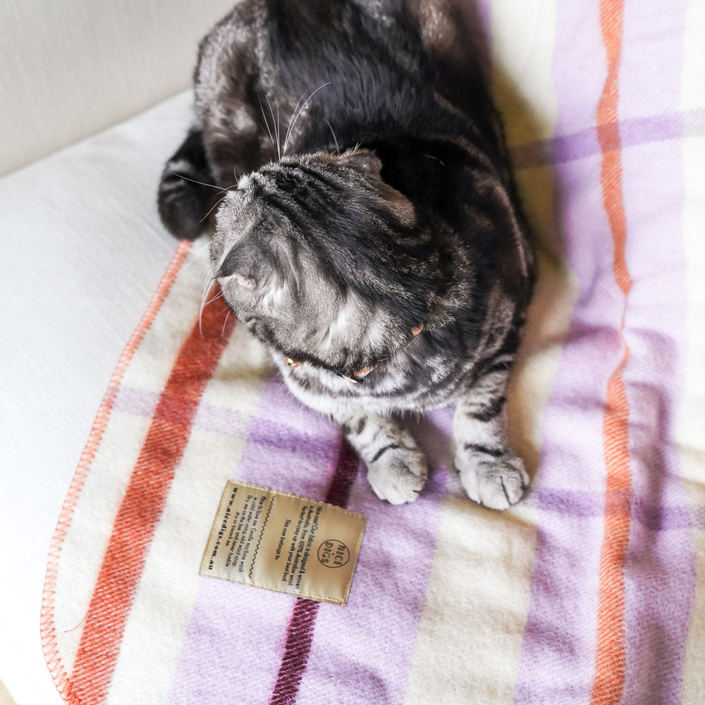 Posie Leather Cat Collar - Spring