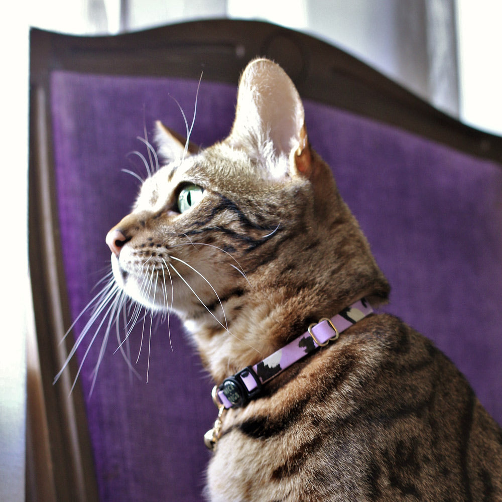 Animal Leather Cat Collar - Lilac