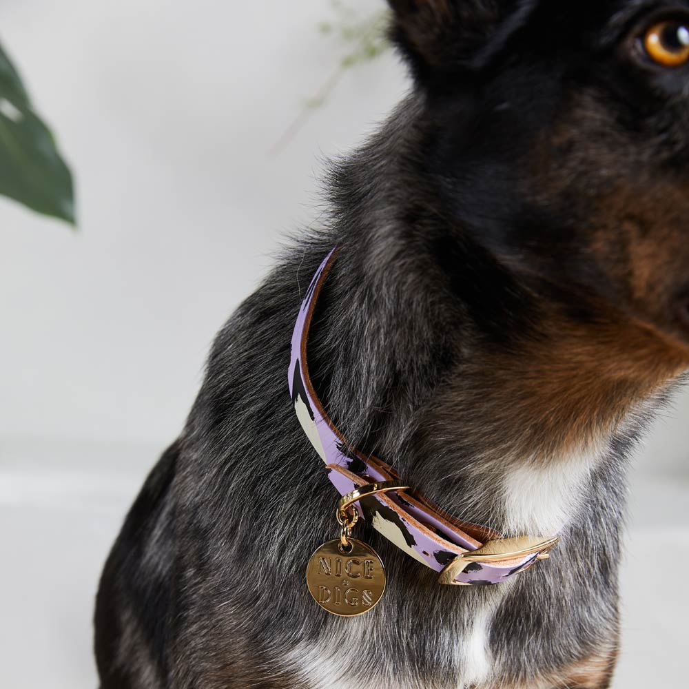 Animal Leather Dog Collar - Lilac