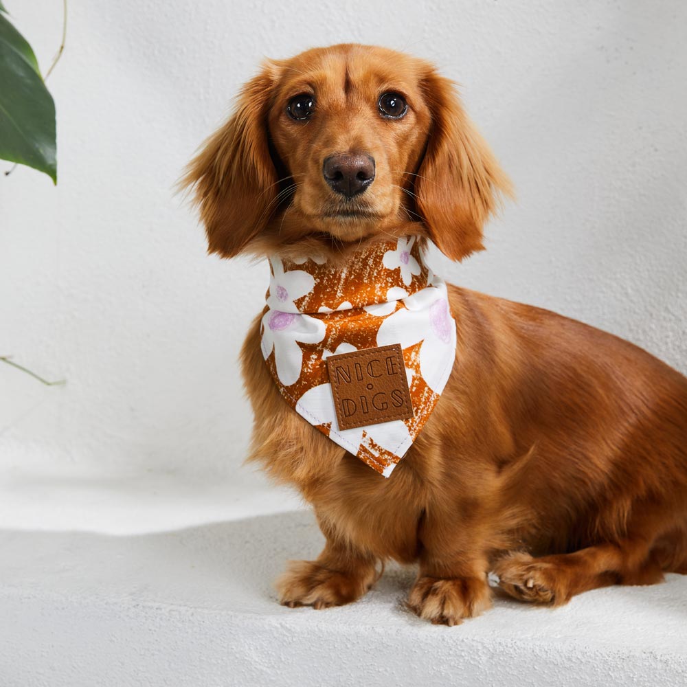 Daisy Bandana - Pecan