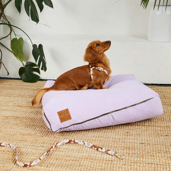 Nice digs top dog bed