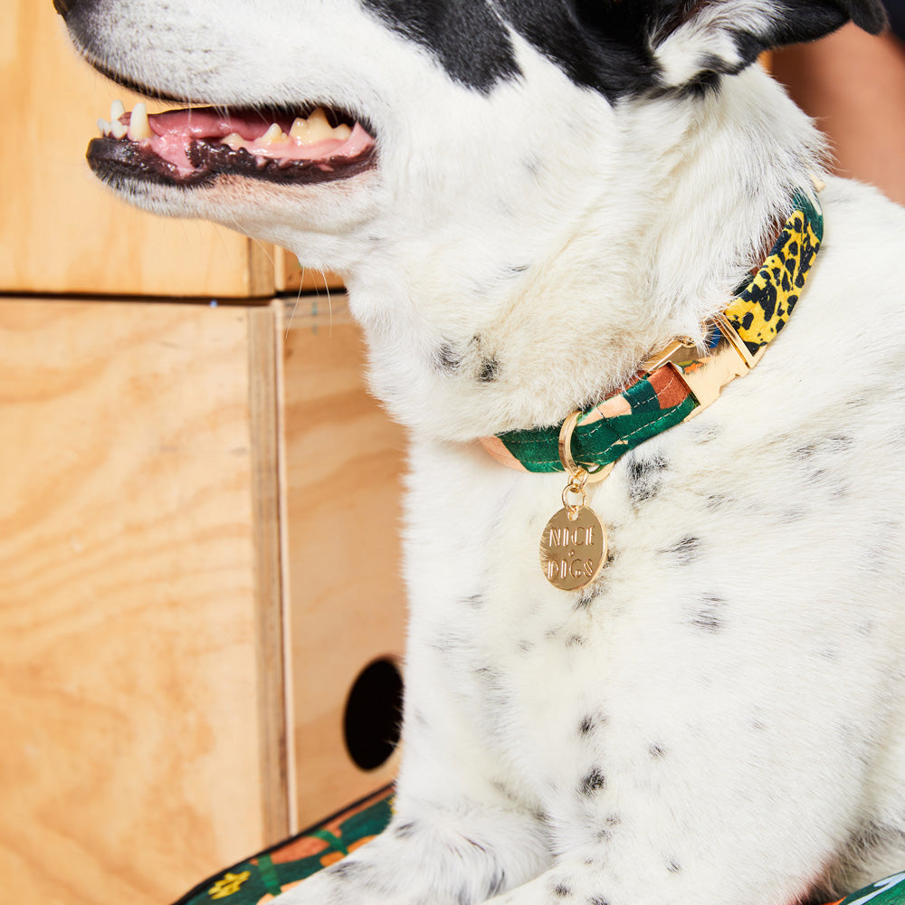 Boulder Canyon Printed Dog Collar - Moss