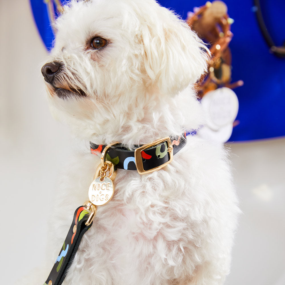 Midnight Mirage Leather Dog Collar