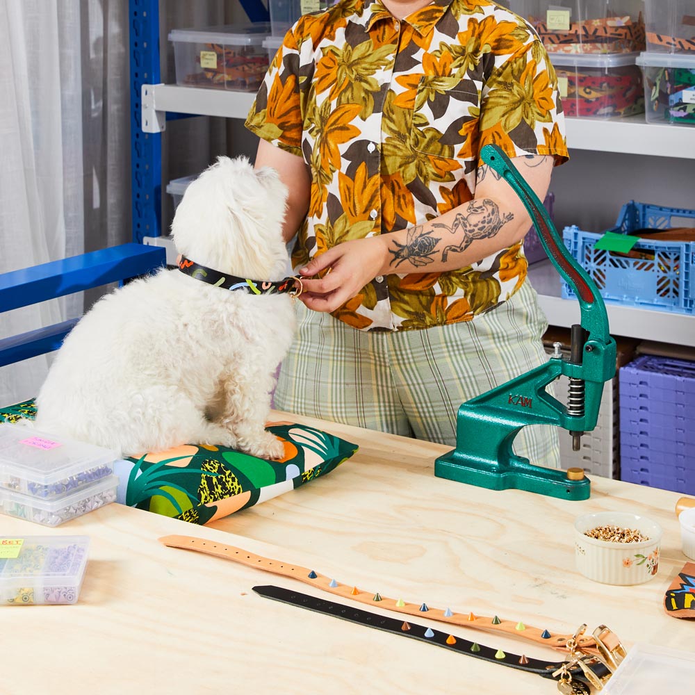 Midnight Mirage Leather Dog Collar