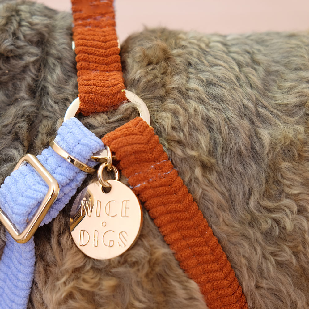 Lucky Dip Cord Dog Harness - Lovely Bunch