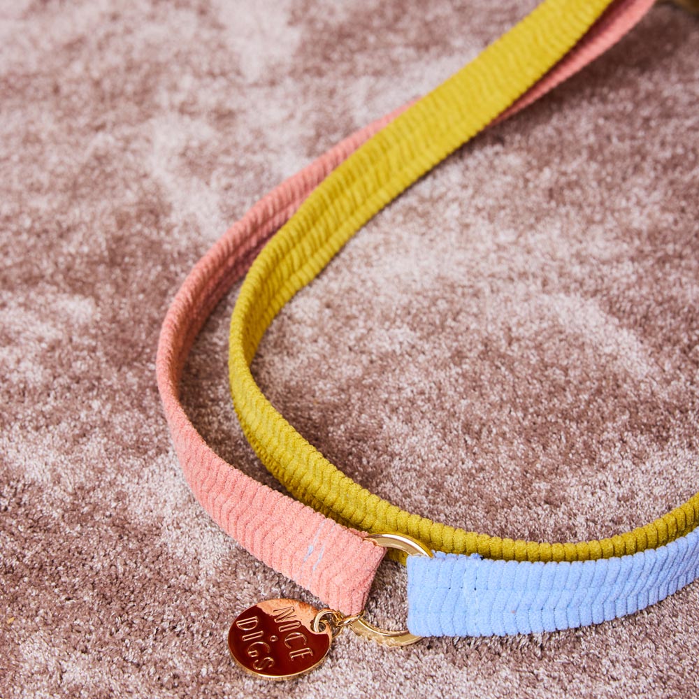 Cord Adjustable Dog Leash - First Light