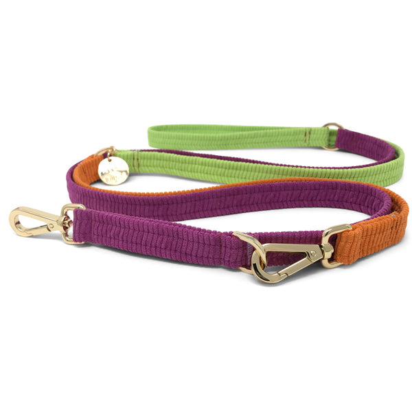Cord Adjustable Dog Leash - Fruit Salad