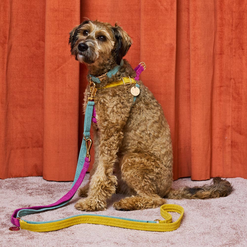 Cord Adjustable Dog Leash - Hidden Gem