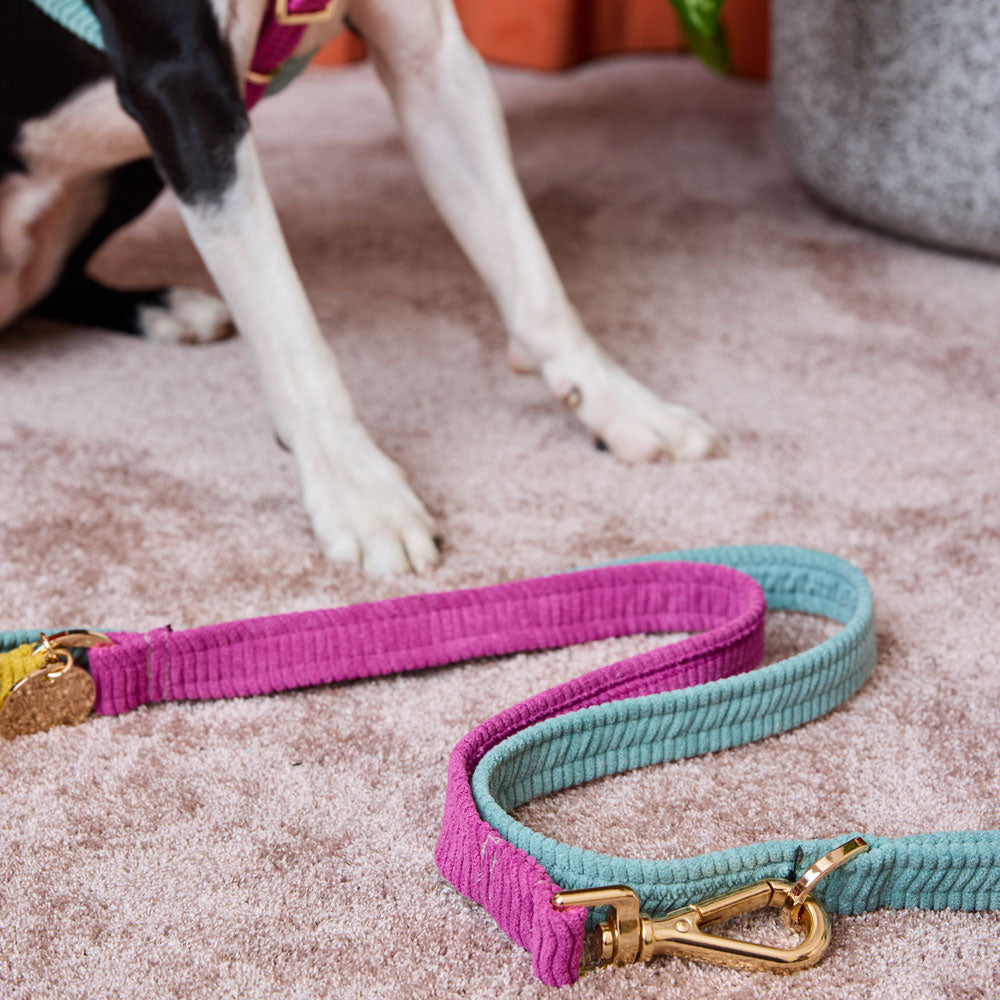 Cord Adjustable Dog Leash - Hidden Gem