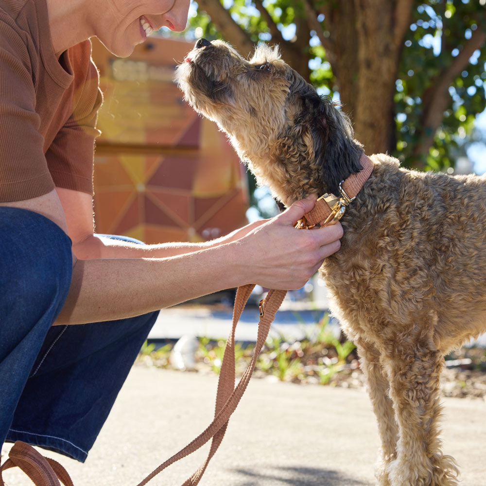 Cord Adjustable Dog Leash - Mocha
