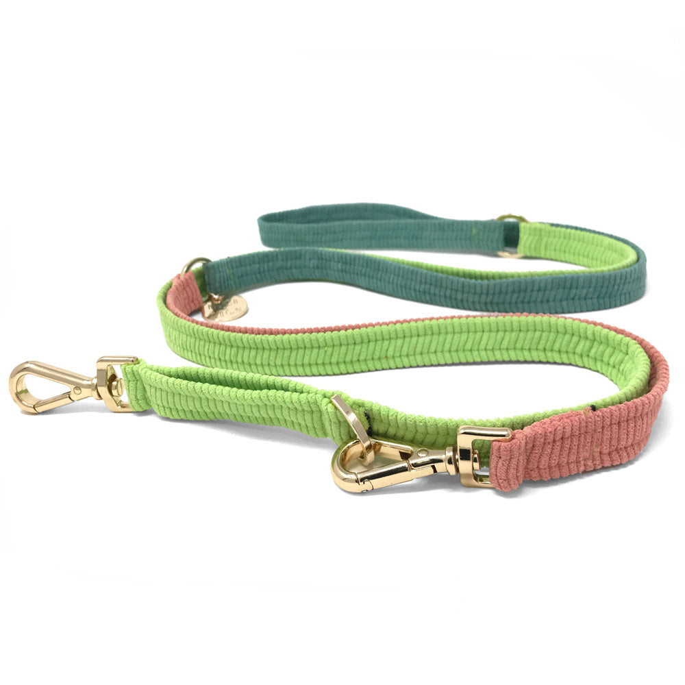 Cord Adjustable Dog Leash - Papaya
