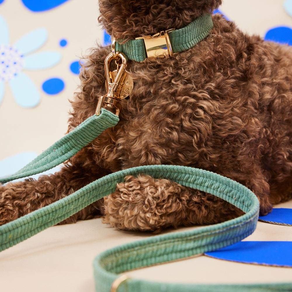 Cord Dog Collar - Eucalyptus