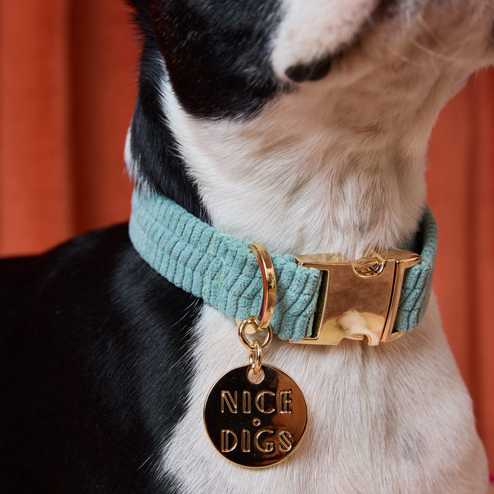 Cord Dog Collar - Eucalyptus