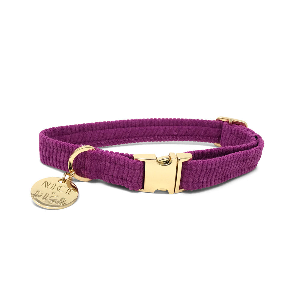 Cord Dog Collar - Dragon Fruit