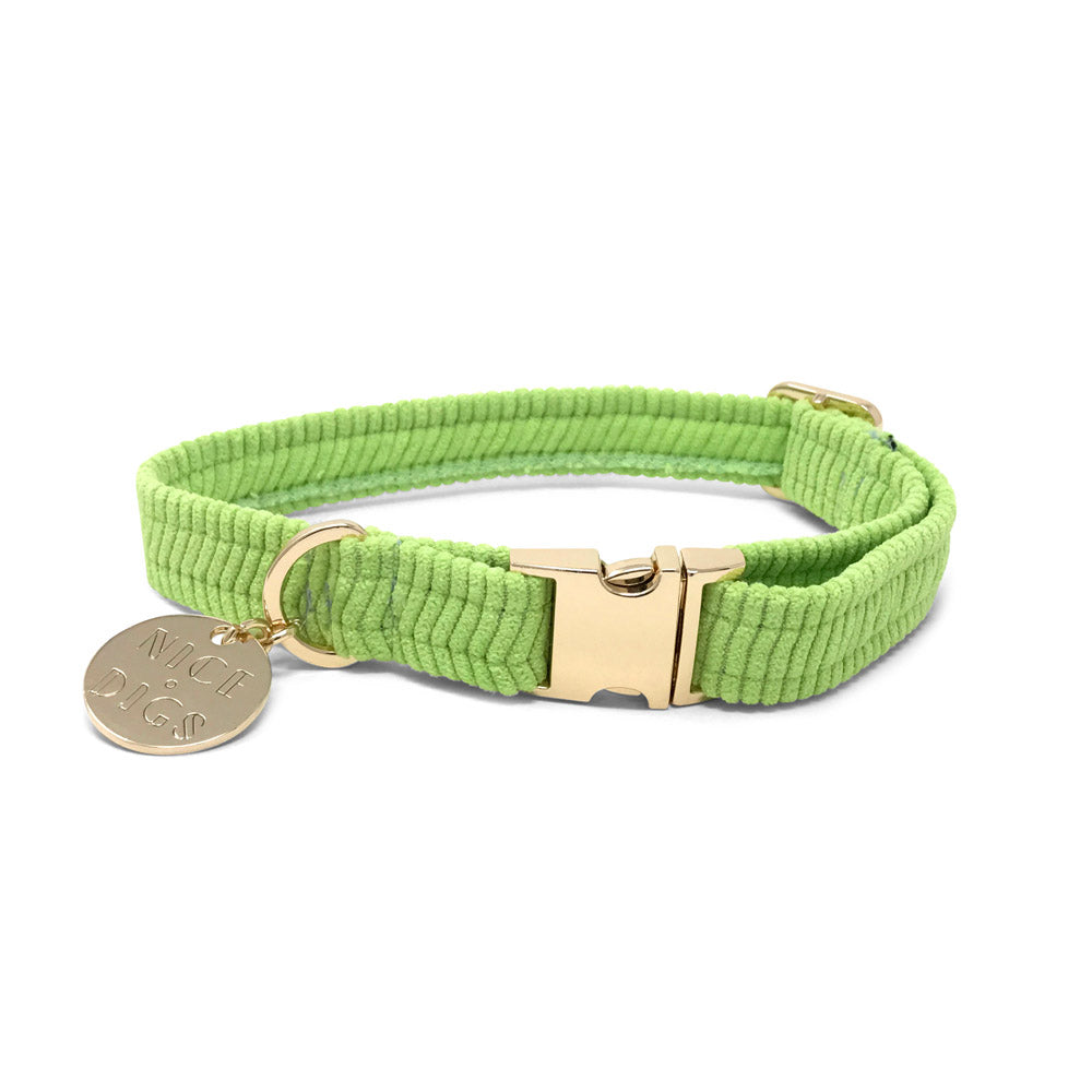 Cord Dog Collar - Splice