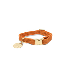 Cord Dog Collar - Tangerine